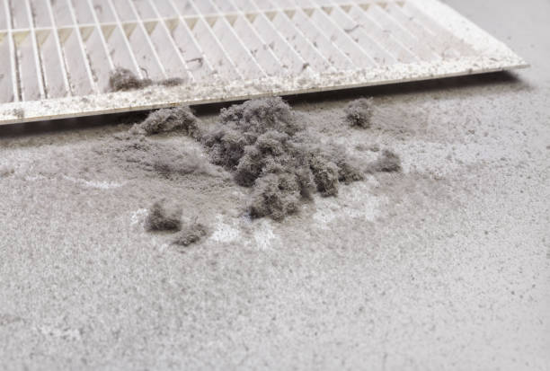 Best Local Air Duct Cleaning Services  in Channel Islands Beach, CA