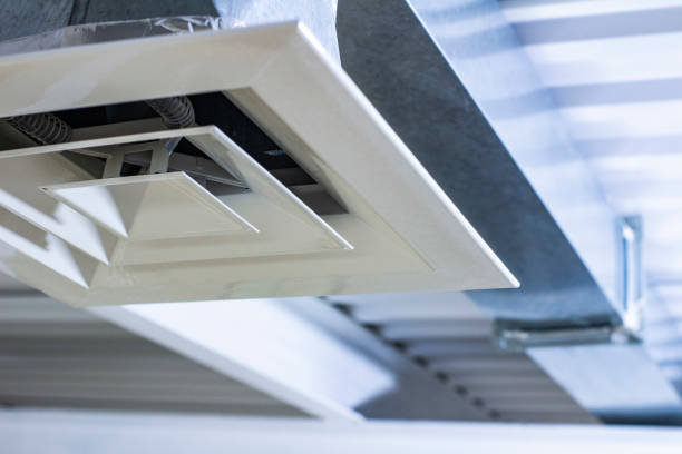 Best Air Duct Mold Removal  in Channel Islands Beach, CA